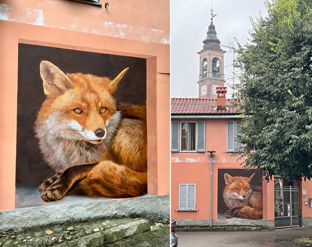 Volpe di Cuggiono