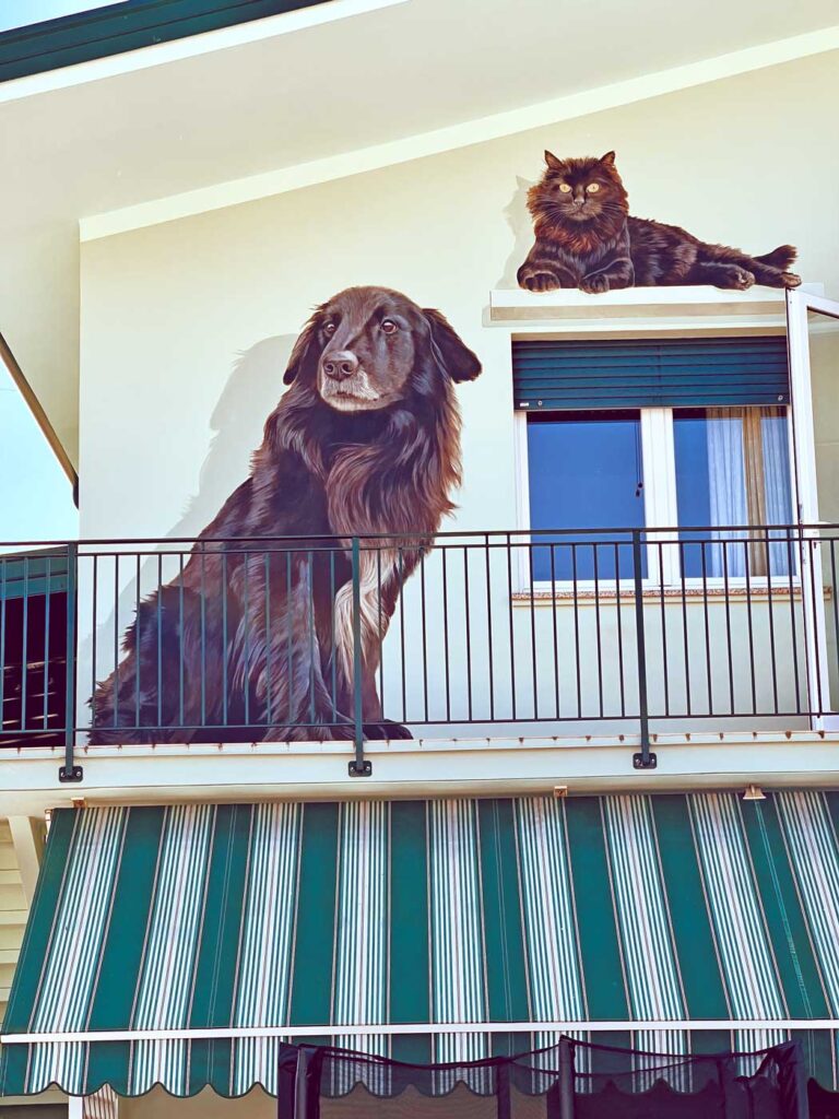 cane-e-gatto-sul-davanzale